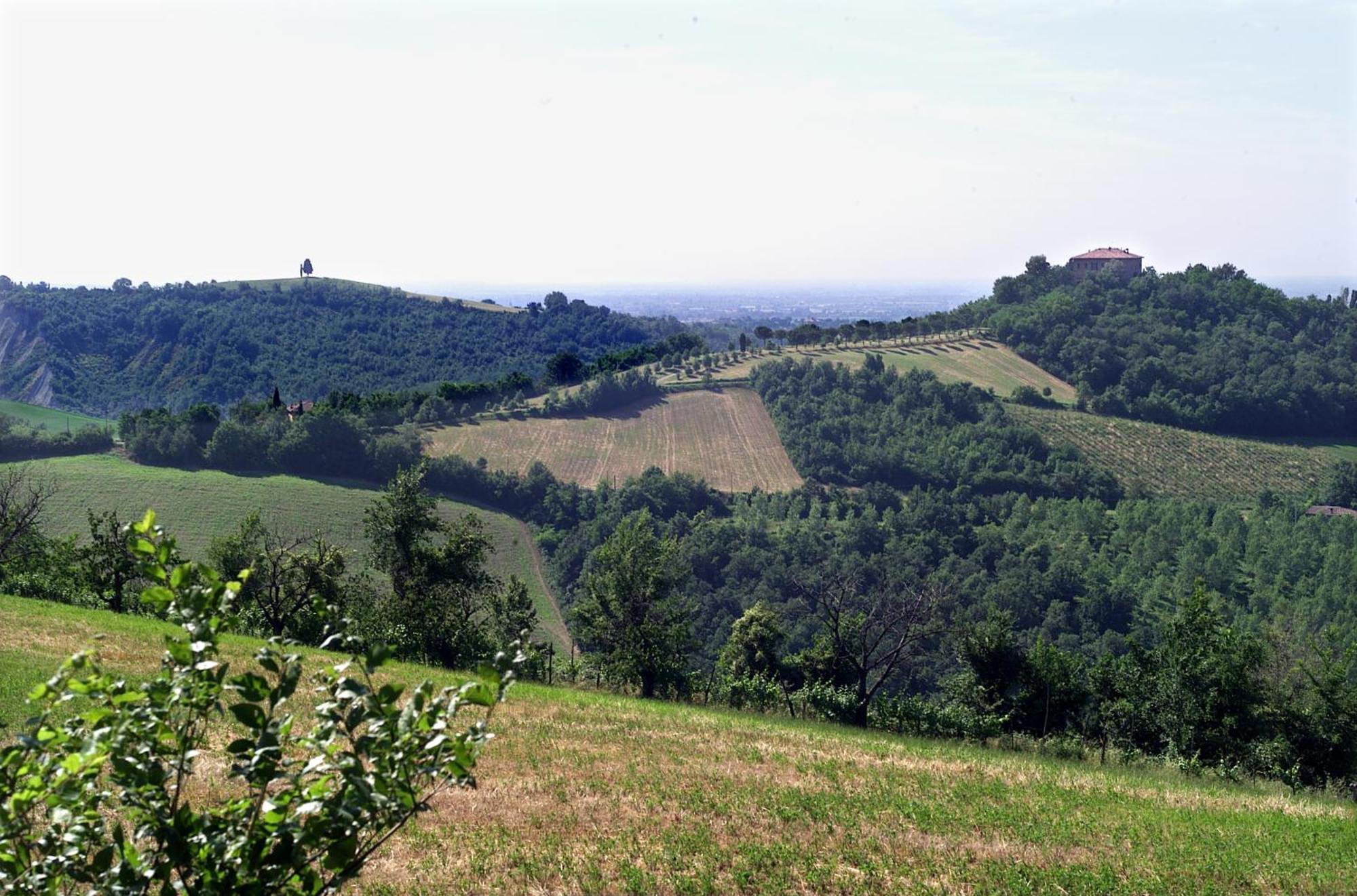 Agriturismo Montevecchio Isolani Monte San Pietro Bagian luar foto