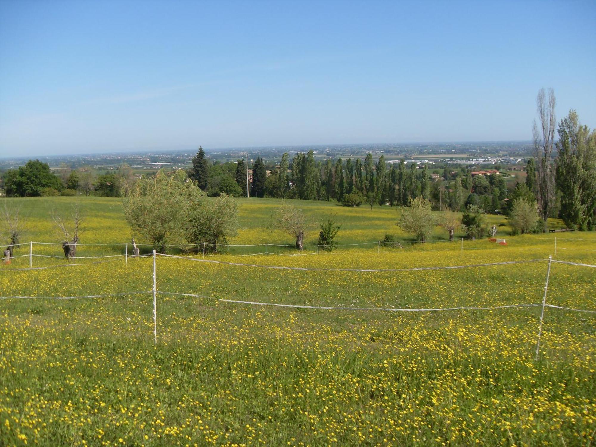 Agriturismo Montevecchio Isolani Monte San Pietro Bagian luar foto