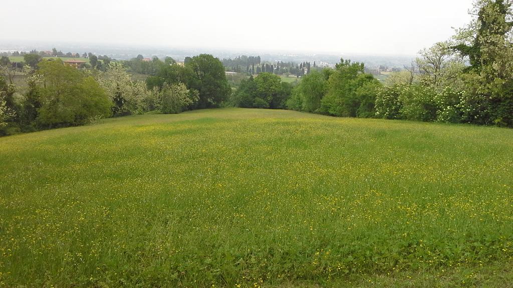 Agriturismo Montevecchio Isolani Monte San Pietro Bagian luar foto