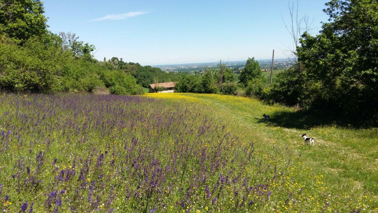 Agriturismo Montevecchio Isolani Monte San Pietro Bagian luar foto