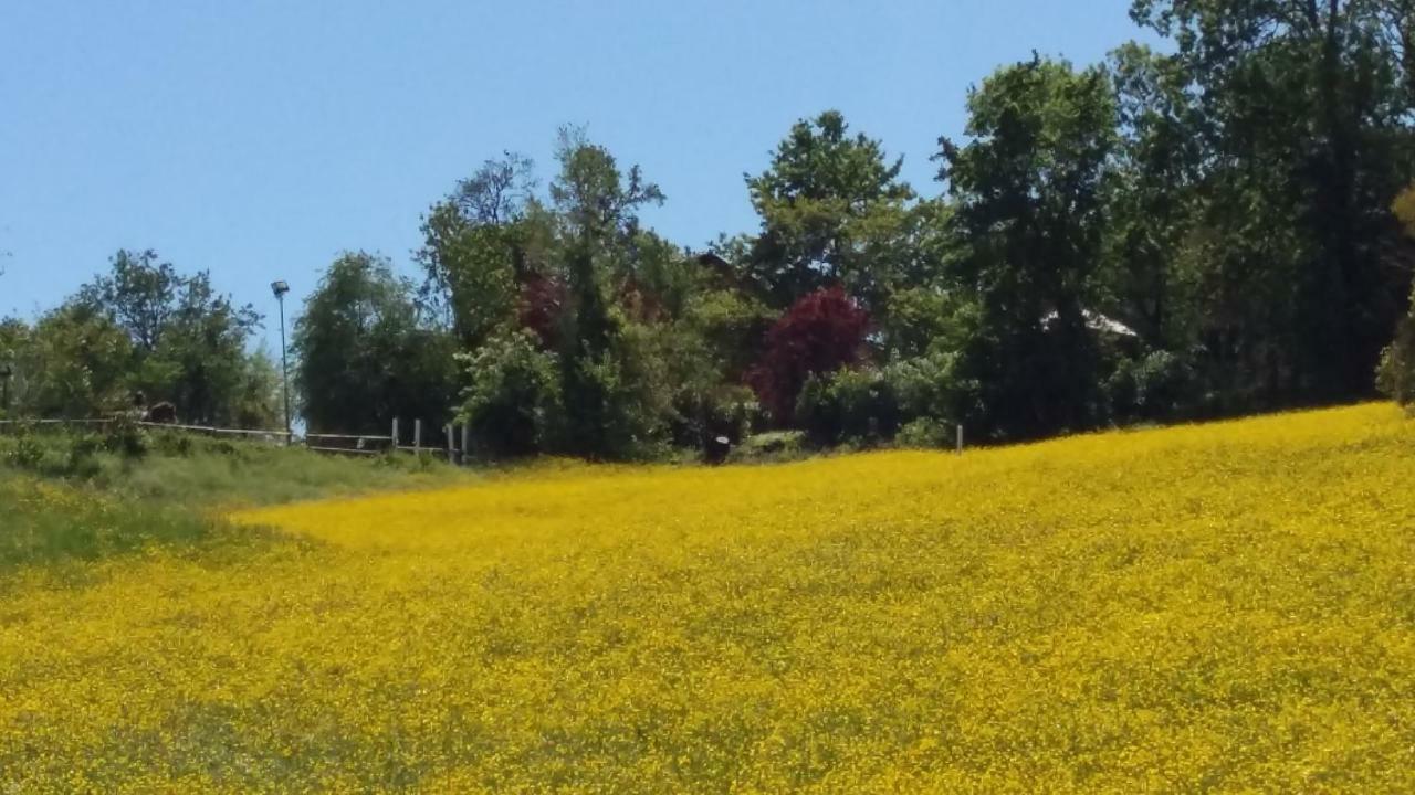 Agriturismo Montevecchio Isolani Monte San Pietro Bagian luar foto